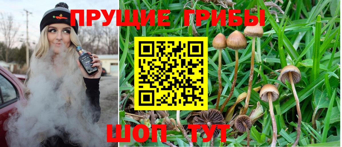 Советский  Галлюциногенные грибы мухоморы  Вход с VPN 